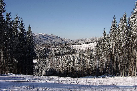 Зимовий відпочинок в Карпатах