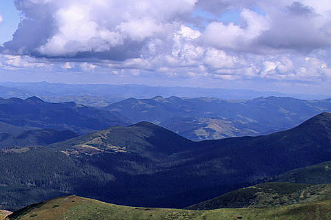 Літній відпочинок в Карпатах